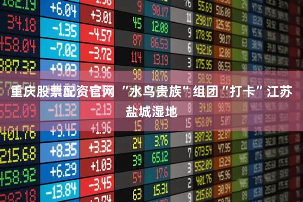 重庆股票配资官网 “水鸟贵族”组团“打卡”江苏盐城湿地
