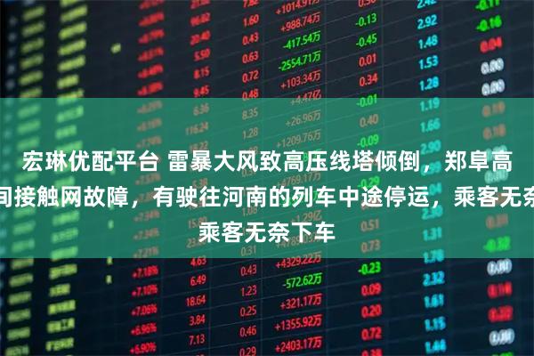宏琳优配平台 雷暴大风致高压线塔倾倒，郑阜高铁区间接触网故障，有驶往河南的列车中途停运，乘客无奈下车