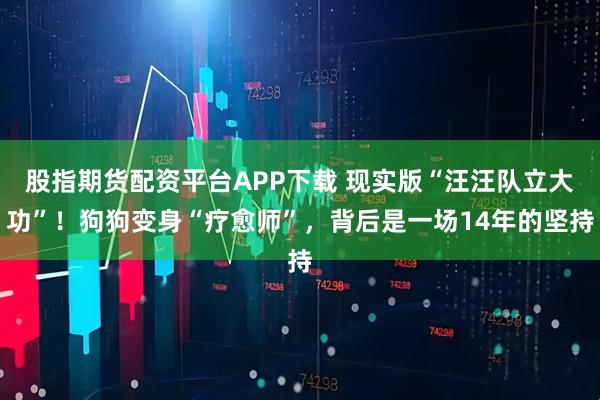 股指期货配资平台APP下载 现实版“汪汪队立大功”！狗狗变身“疗愈师”，背后是一场14年的坚持